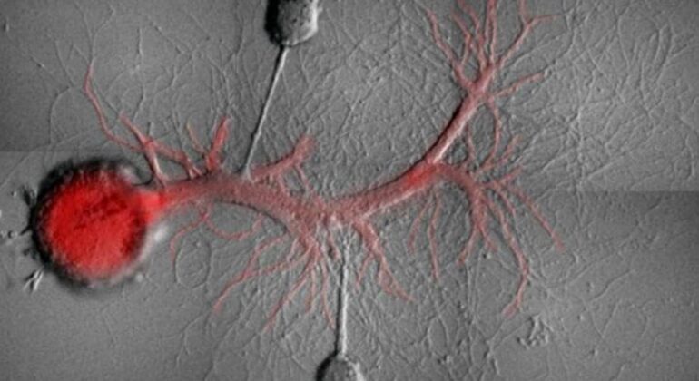 1498324388_962431_1498325310_noticia_normal