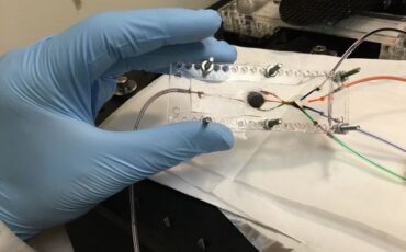 3dbioprinting