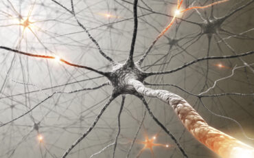 Las-neuronas-no-se-regeneran-otro-mito-derrumbado