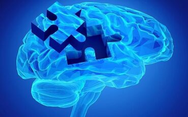 cerebro22--620x349