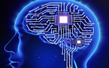chip_cerebro