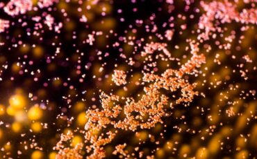 larvabot_robot_protege_gran_barrera_coral